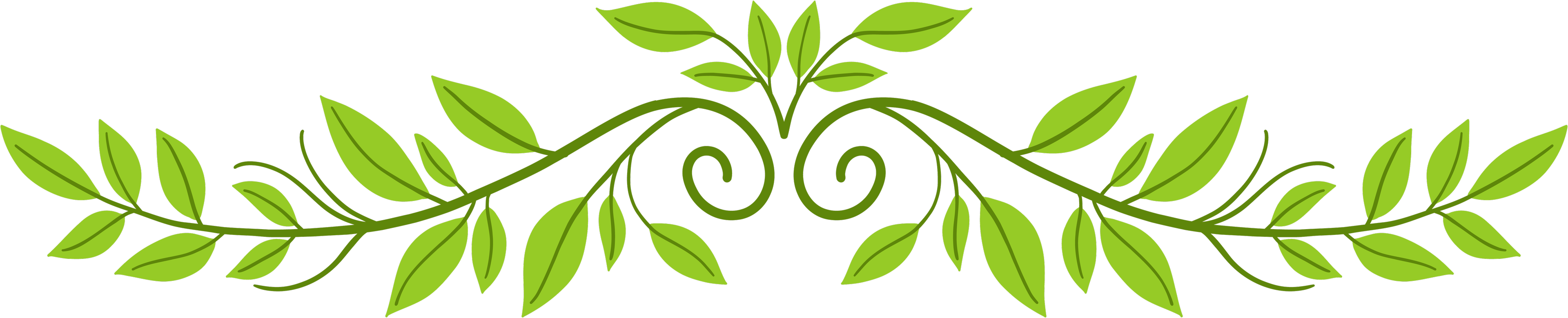 separator